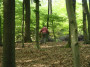 2011-05-07 KPF Wald 30.jpg